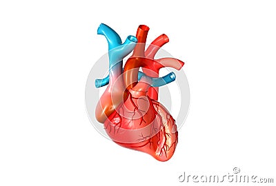 3d Human Heart Stock Photo